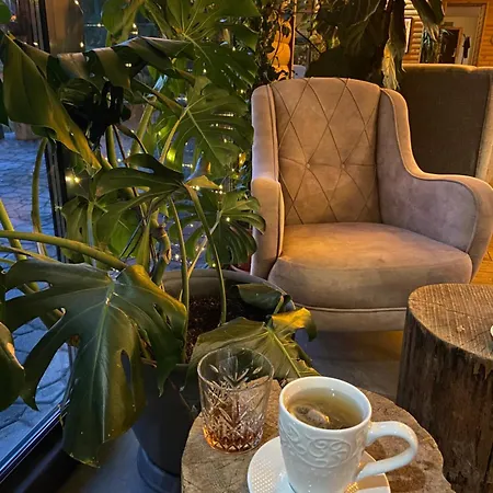 Guest house Rest 3*